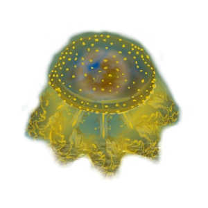 Golden Firefly Jellyfish